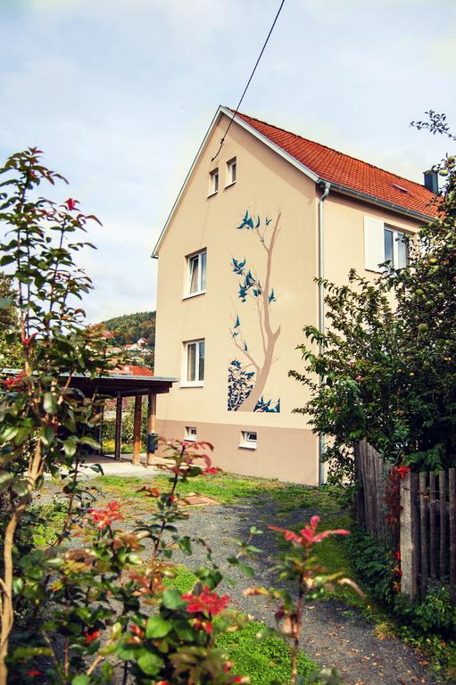 Ruhig, Modern & Naehe Altstadt! Meiningen Esterno foto